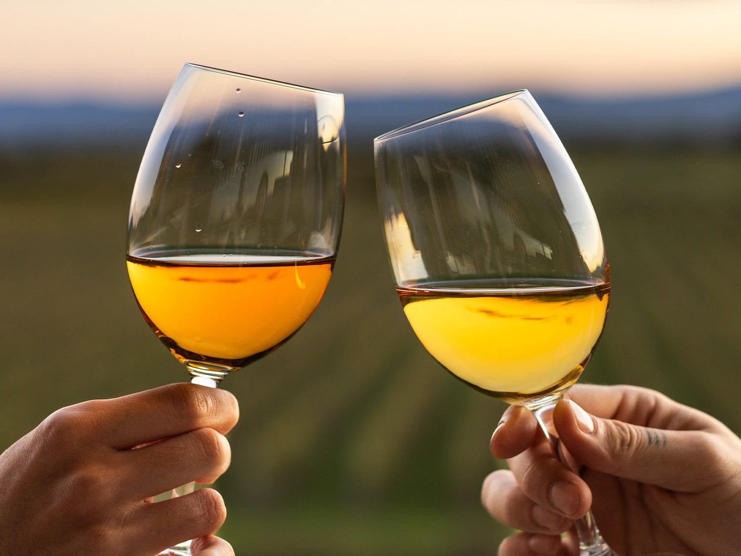 Two glasses filled with Ikano amber wine being held up against a blurred natural background in Georgia
