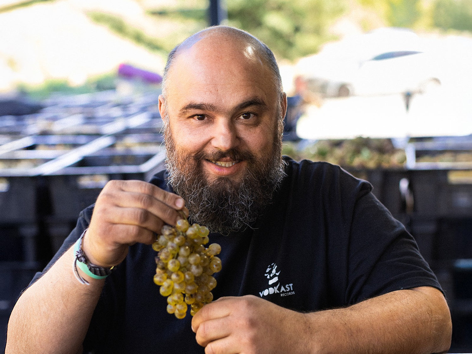 Man holding a bunch of grapes at Ikano Wine Estate in Kakheti Georgia